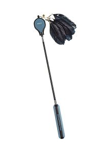 Aiwo Pet Fun Cat Stick Telescopic Feather Fishing Cat Stick Toy Bite Resistant Fairy Stick Long Rod Cat Toy (colour: Black Onion (Luxury Three Stage Style))